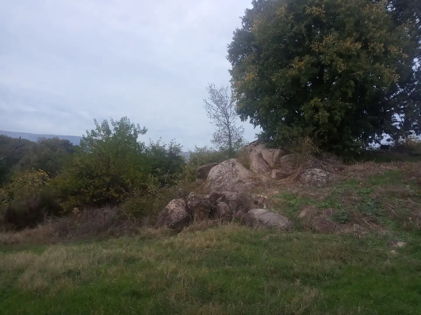 Terreni e lotti in vendita a Jarandilla de la Vera, imagen 7