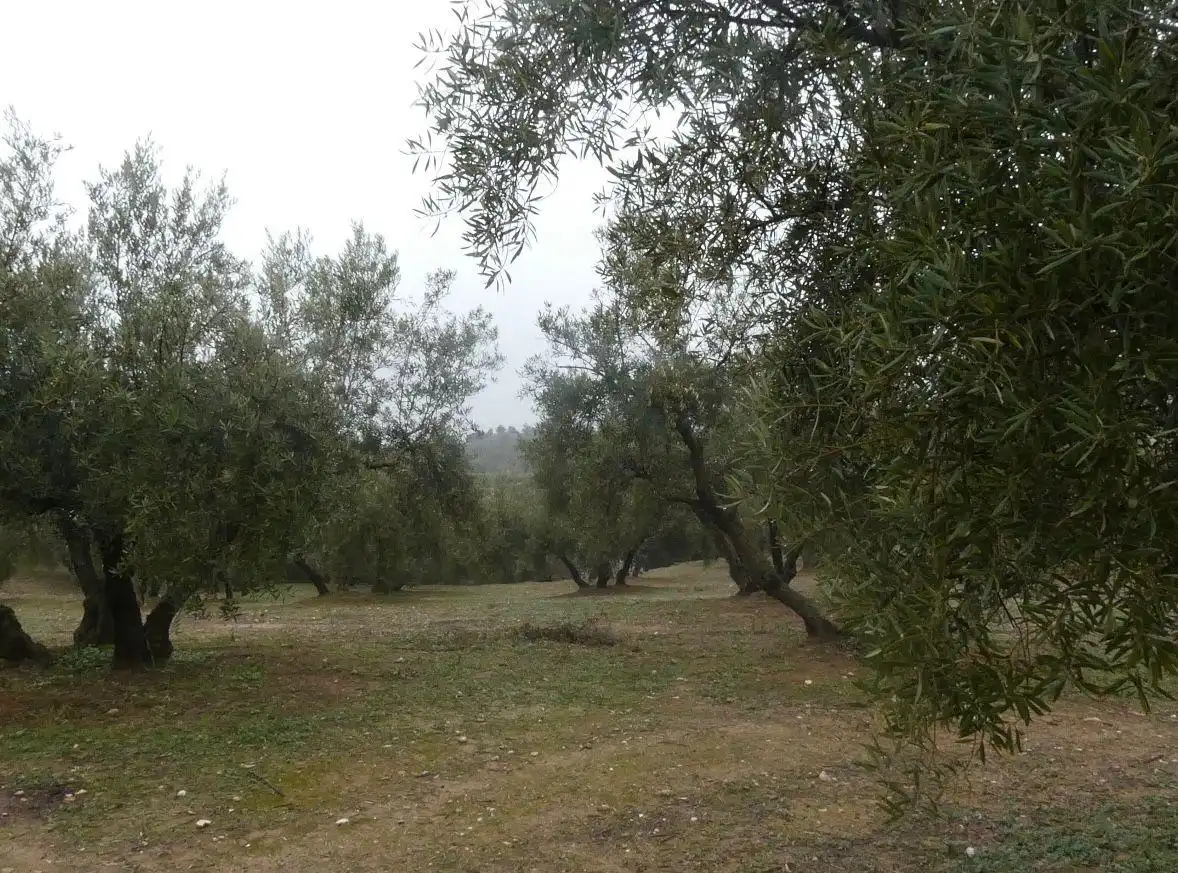 Terreni e lotti in vendita a Peligros, imagen 19