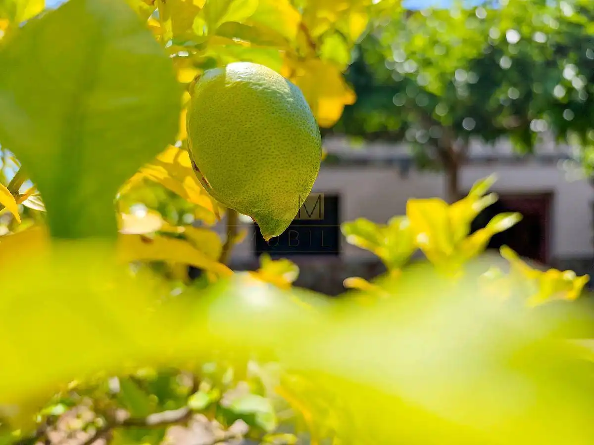 Jardí de Casa o xalet en venda en Vilanova i la Geltrú amb Calefacció, Jardí privat i Terrassa