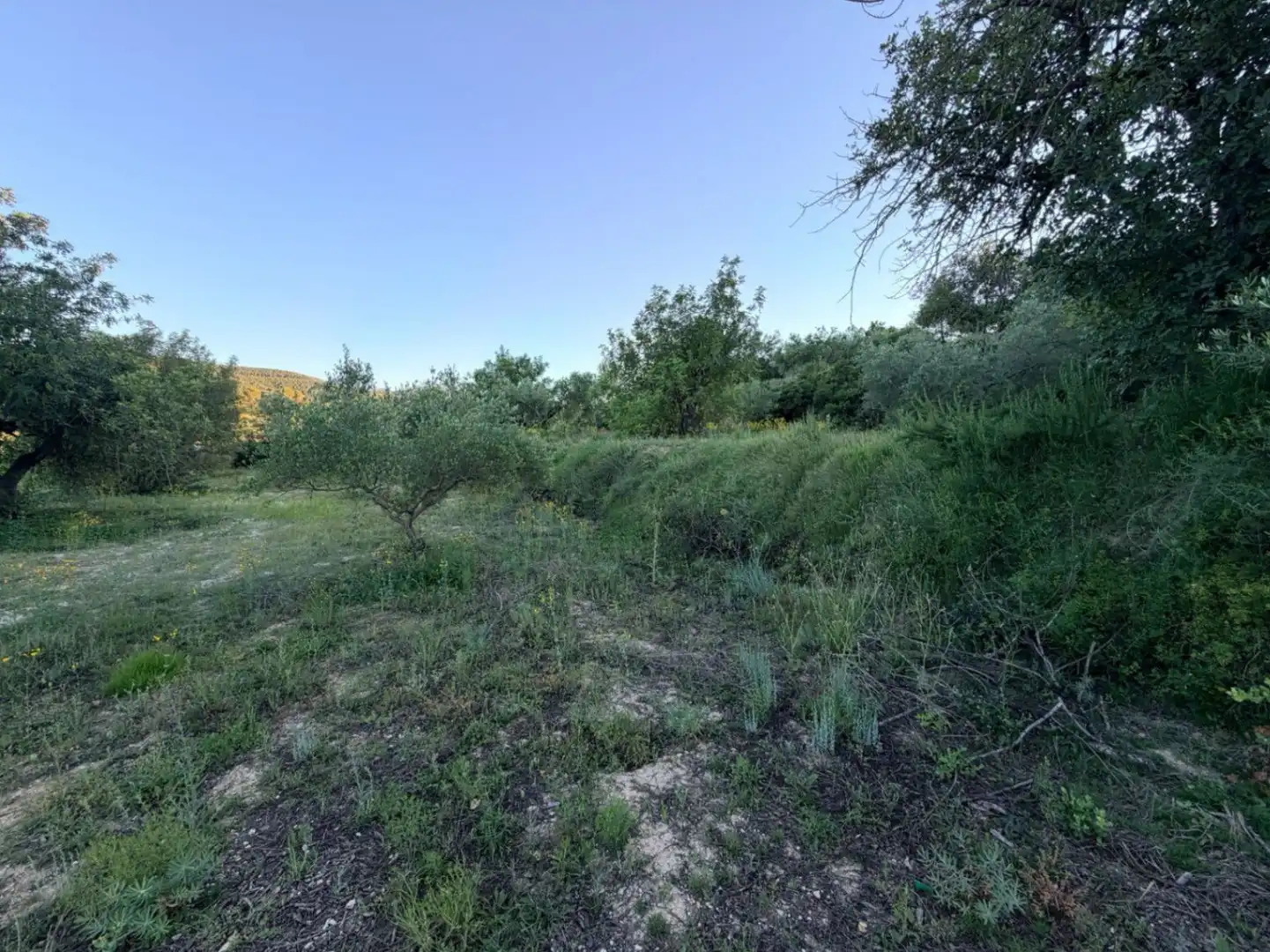 Terreny residencial en venda a El Juncal - Vallealto, imagen 27