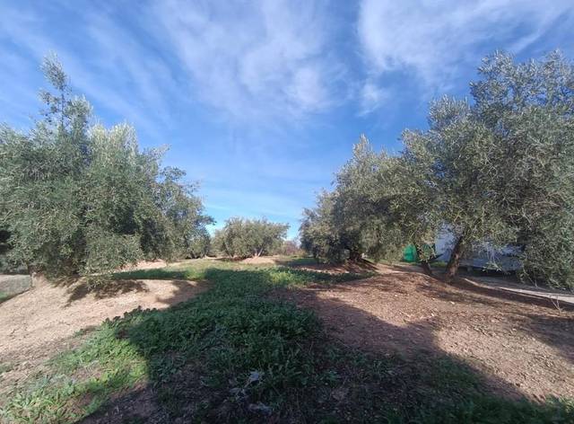 Terreno residencial en Venta en Las veletas en Fuensanta de Martos