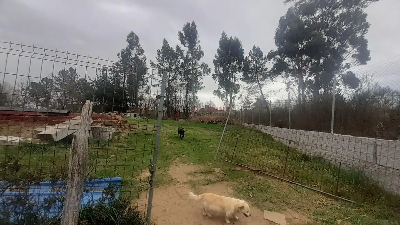 Terreni e lotti in vendita a San Cibrao das Viñas, imagen 7
