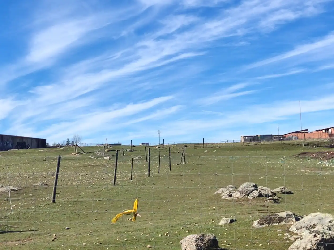 Terreni e lotti in vendita a LOS BARROS DEL GALLO COCEADO POLIGONO 4, imagen 10