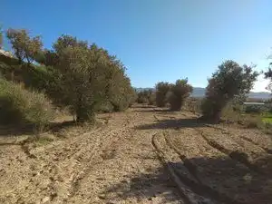 Rural land for sale in Camino Cerrillos, imagen 2