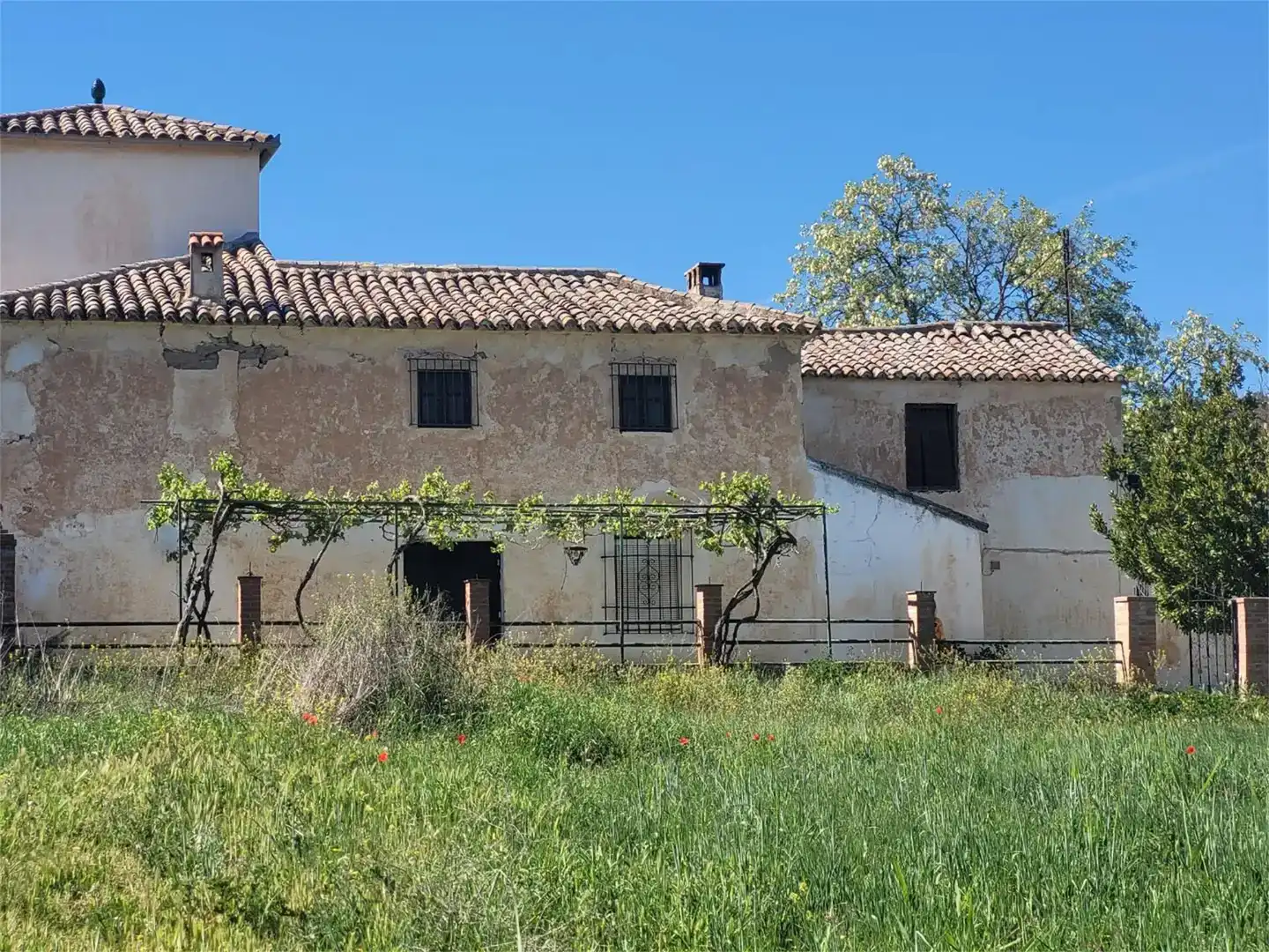 Vista exterior de Finca rústica en venda en Ronda amb Piscina