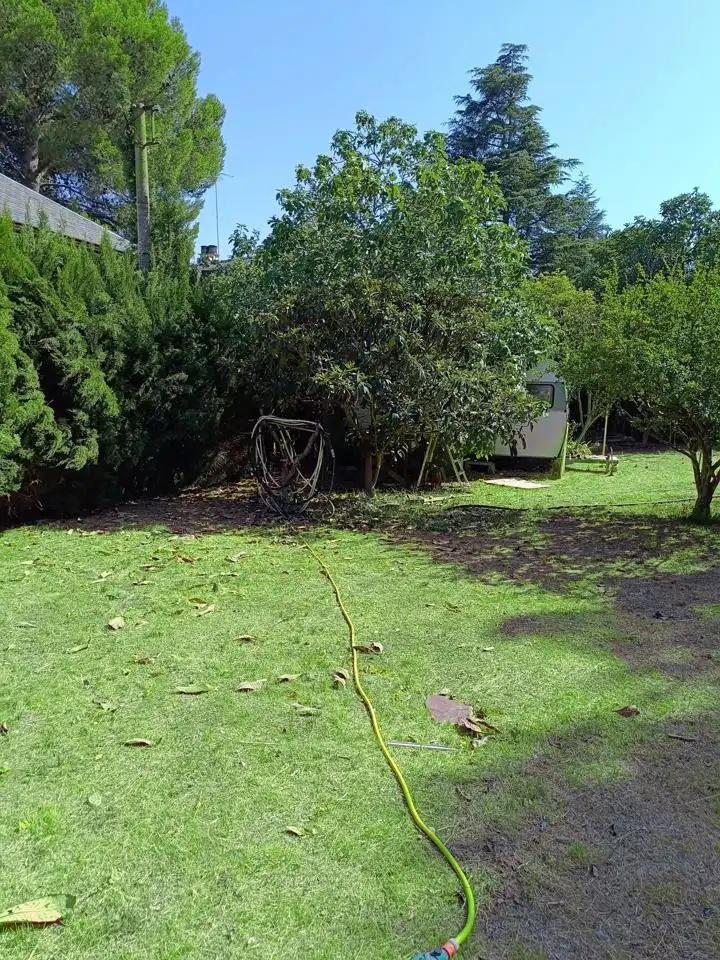 Jardí de Casa o xalet en venda en Zuera amb Jardí privat i Piscina comunitària