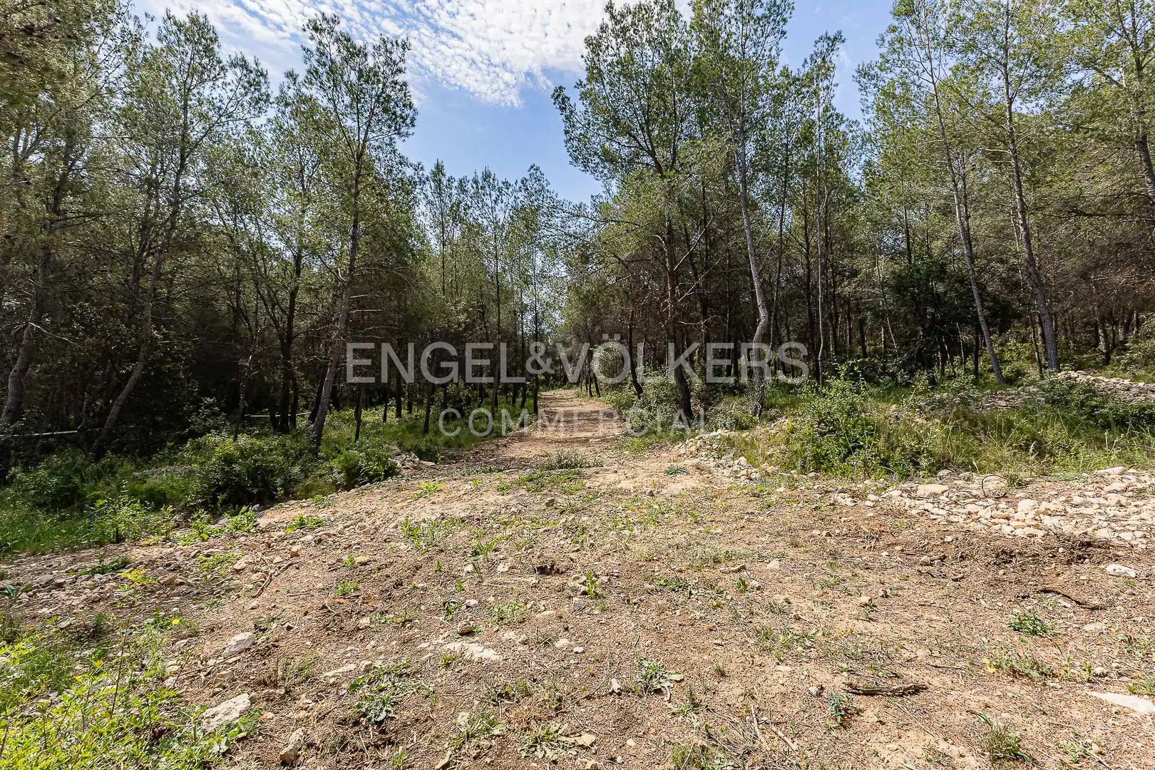 Hotel for sale in Centre, imagen 11