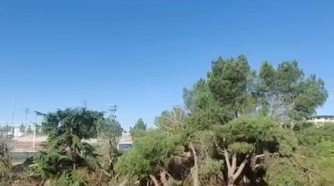 Foto 3 de Residencial en venda a Camino Huerto, Zona Monte El Pilar, Majadahonda