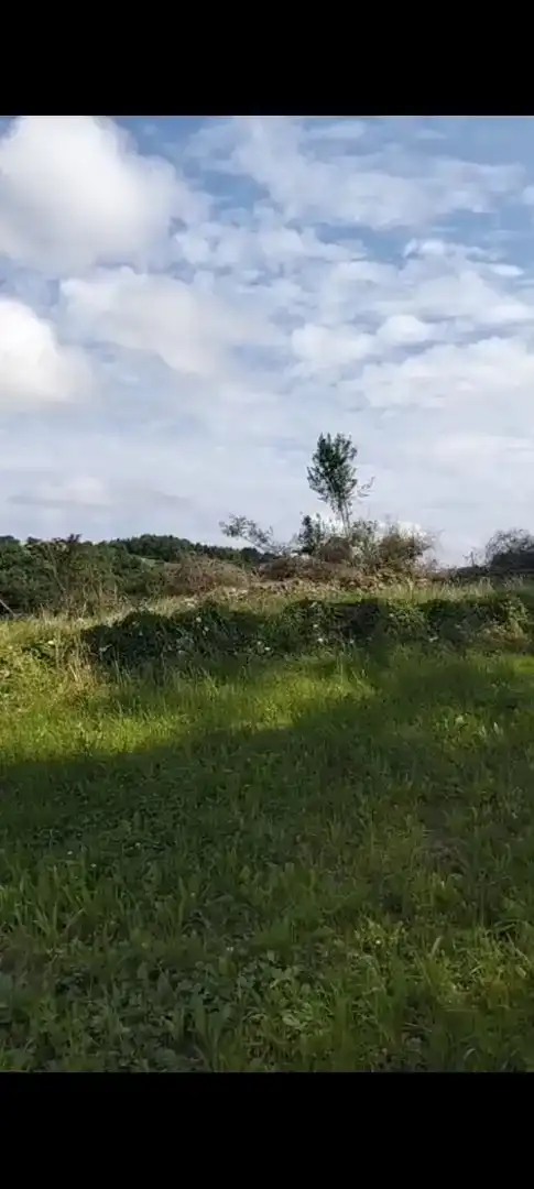 Finca rústica en venta en Valdáliga