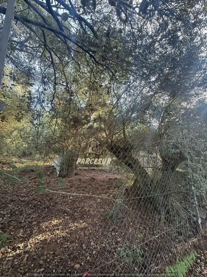 Casa en venda a Periurbano Oeste - Sierra, imagen 45
