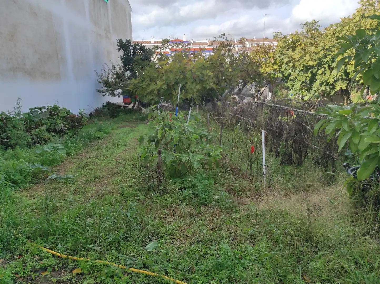 Terreni e lotti in vendita a Ayamonte ciudad, imagen 21