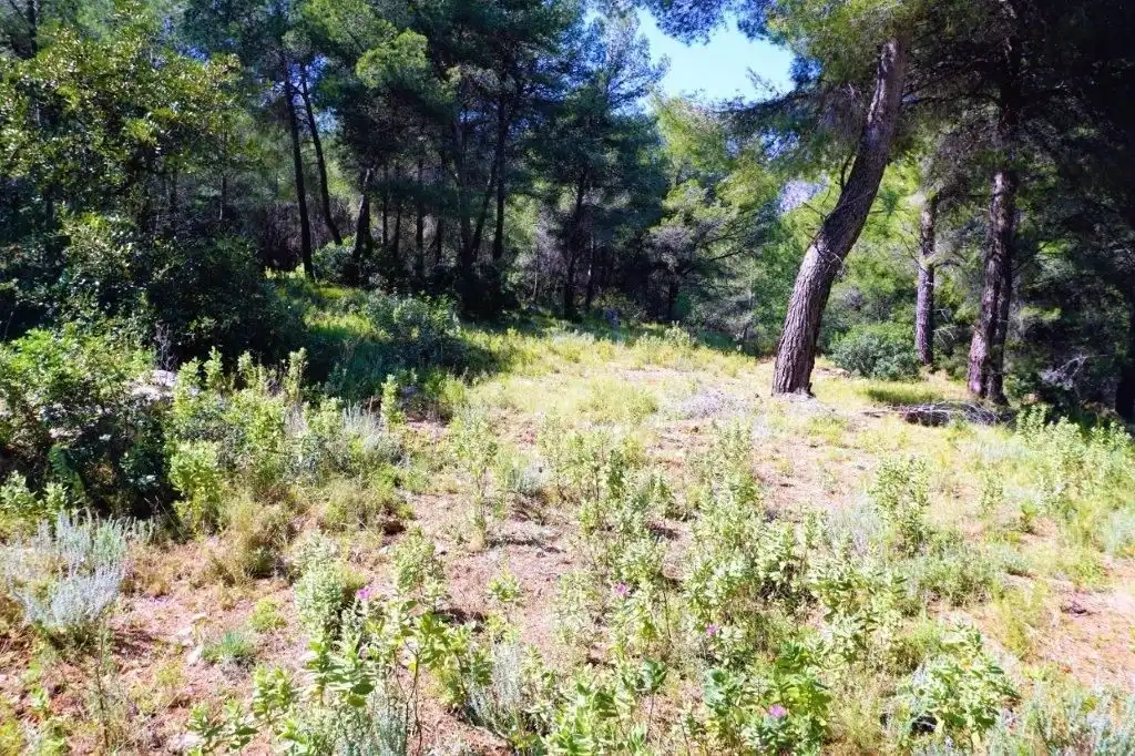 Terreny residencial en venda a Callosa d'en Sarrià, imagen 24
