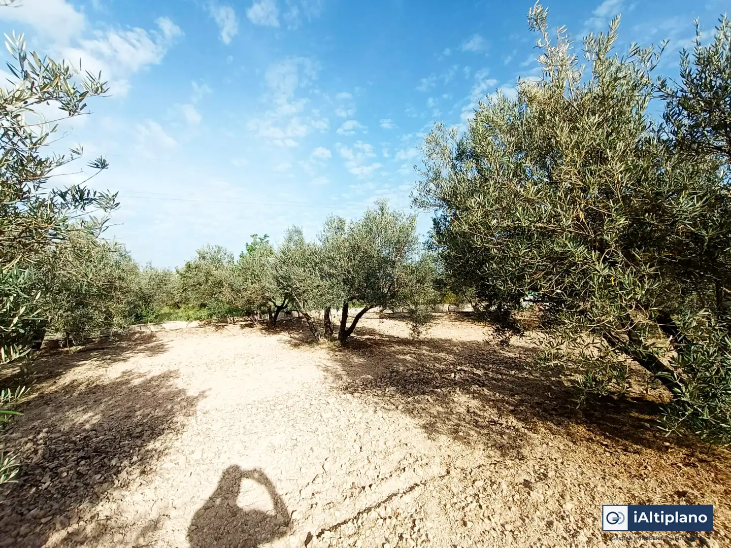 Casa o xalet en venda en Baza amb Jardí privat, Piscina i Moblat