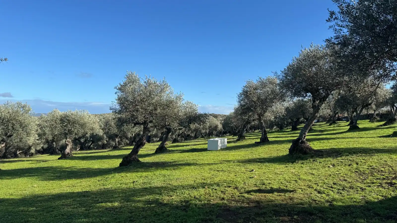 Terreni e lotti in vendita a Valencia de Alcántara, imagen 26