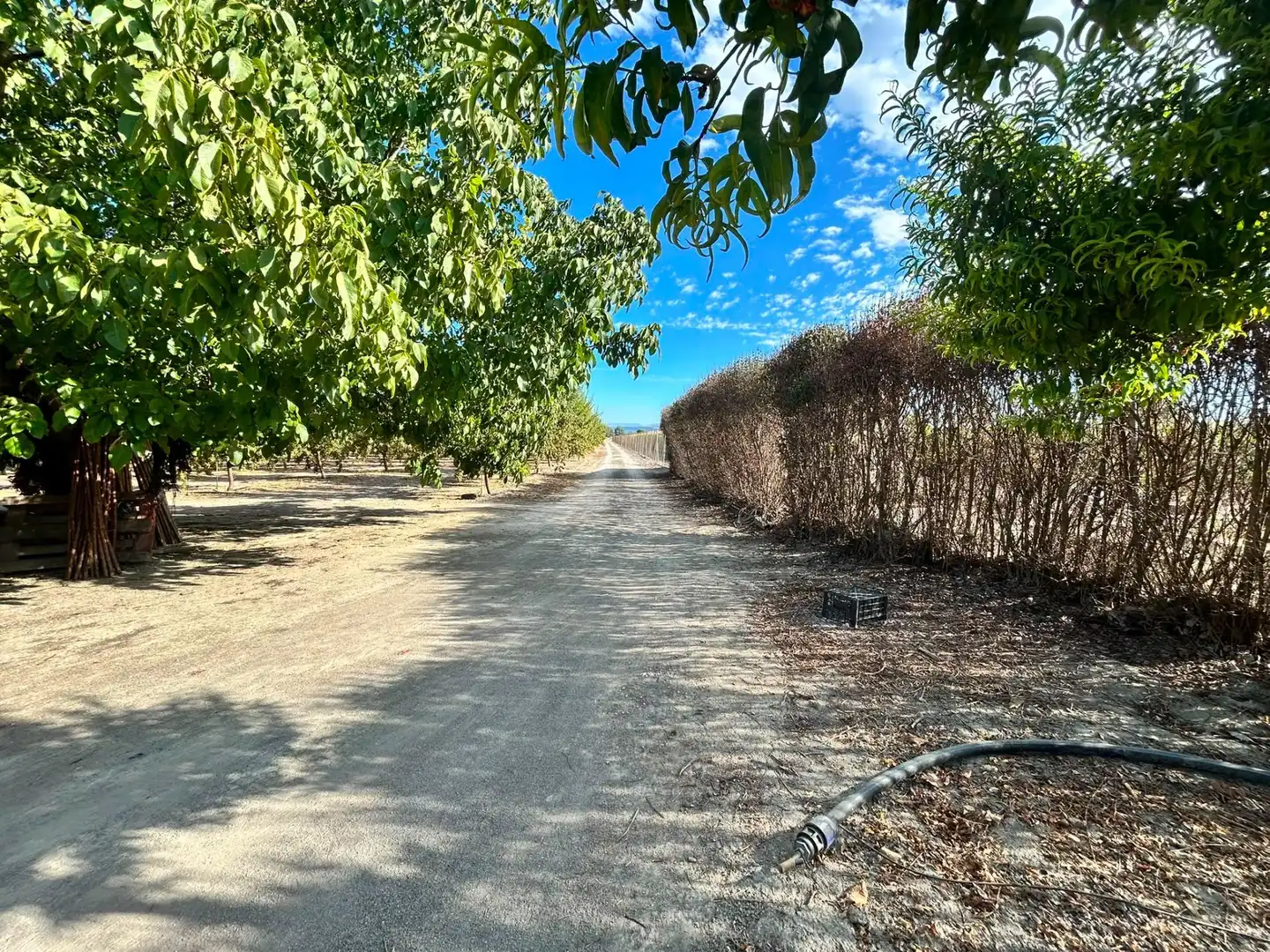 Terrains et parcelles à vendre à Fuente Vaqueros, imagen 5