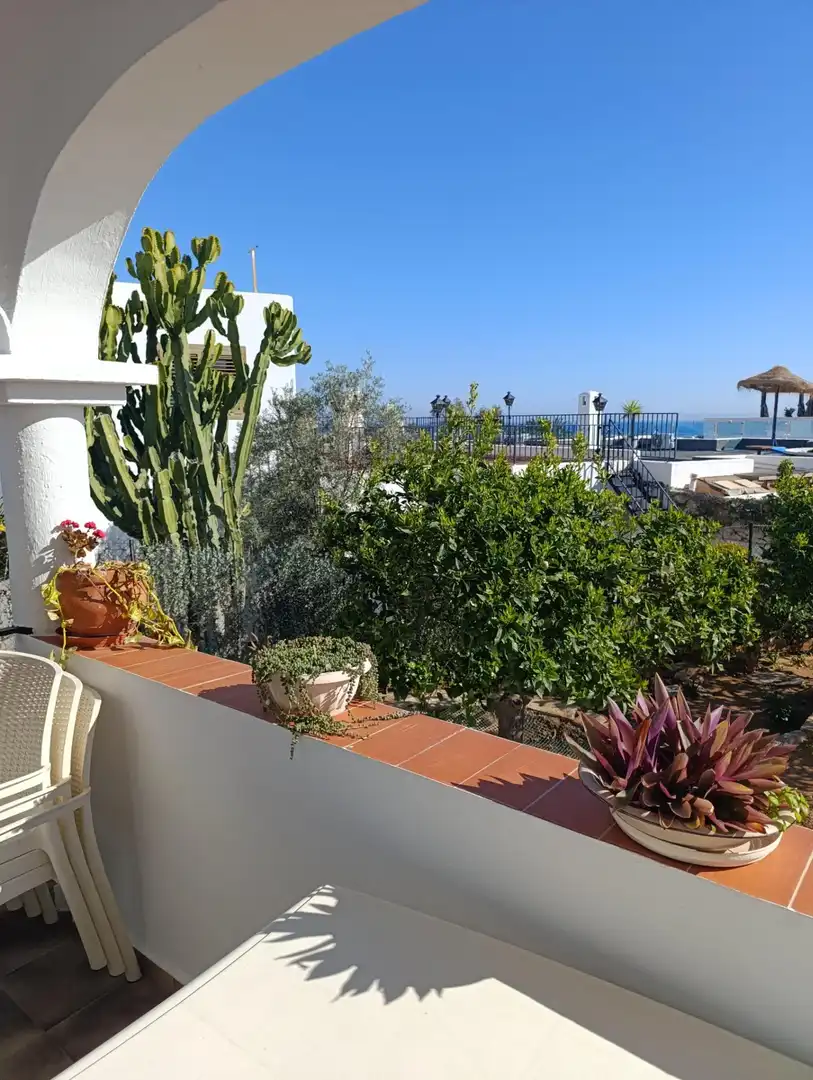 Detached house with terrace for sale in El Palmeral, imagen 5