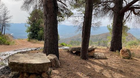 Foto 5 de Casa o xalet en venda a 3, Xerta, Tarragona