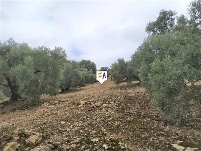Country house for sale in Iznájar, imagen 2