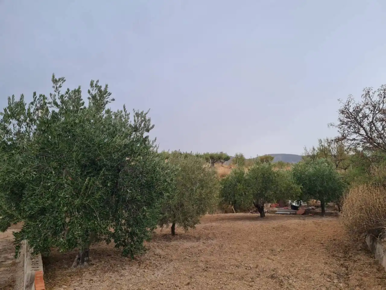 Casa o chalet en venta en Petrer con Jardín privado, Terraza y Piscina