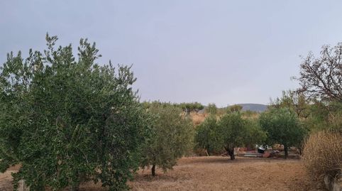 Foto 4 de Casa o chalet en venta en Petrer, Alicante