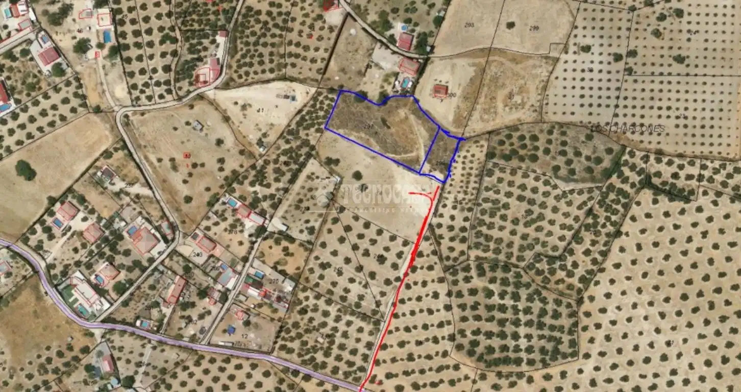 Terreni e lotti in vendita a Martos, imagen 12