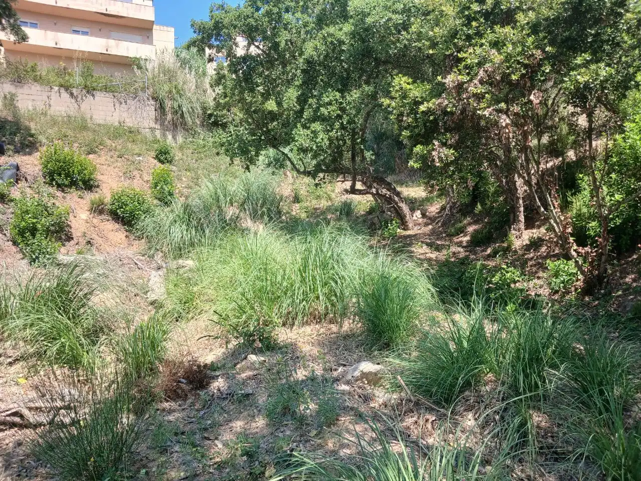 Wohnbaugrundstück zum Verkauf in Lloret Verd - Els Pinars, imagen 4
