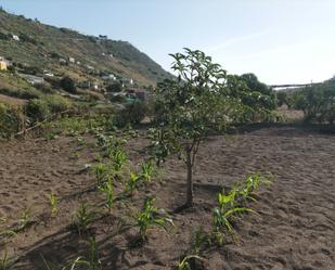 Terreny en venda en Telde