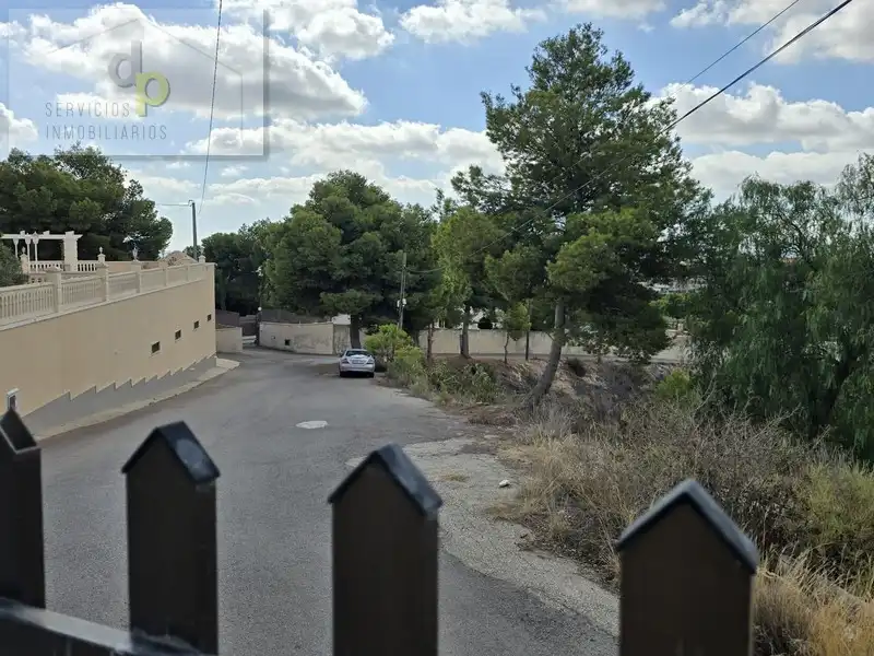 Vista exterior de Casa o xalet en venda en Elche / Elx amb Aire condicionat, Jardí privat i Terrassa