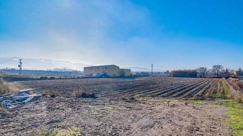 Magnífica finca de regadío en la Vega de Granada, con acceso directo., imatge 4