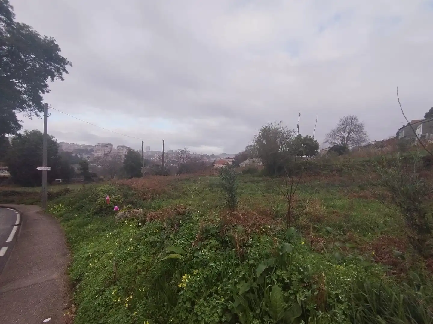 Terrain rustique à vendre à Calle ó Pontillón, imagen 15