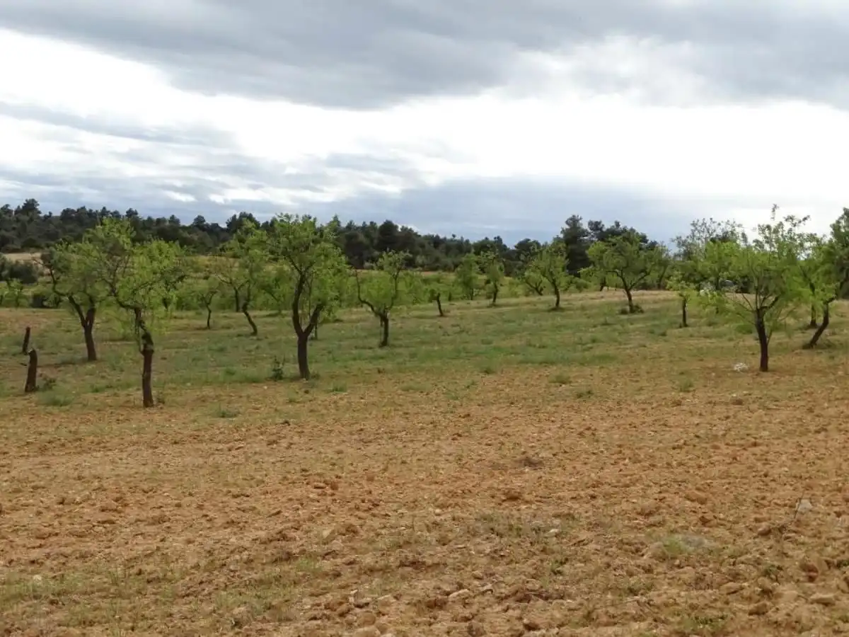 Finca rústica en venta en Cretas