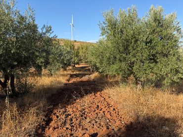 Terreno rustico in vendita a Camino de la Sierra