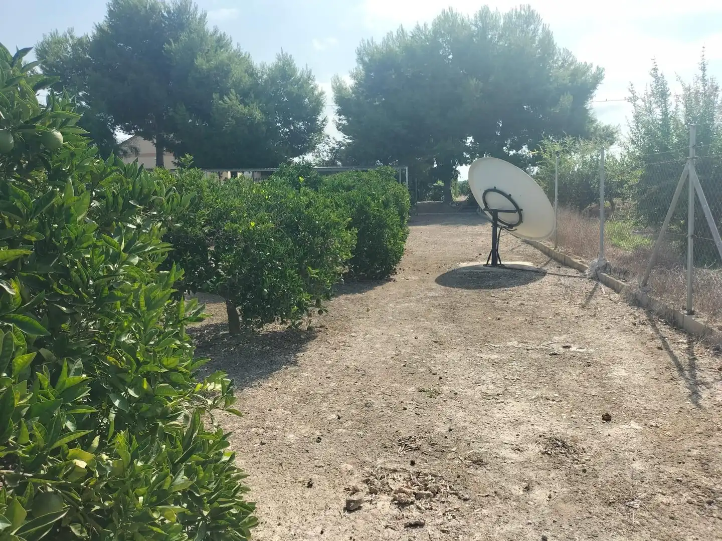 Xalet amb piscina en venda a Formentera del Segura, imagen 35