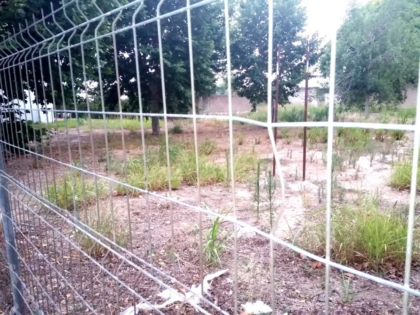 Terrenys i solars en venda a Vilafortuny - Cap de Sant Pere, imagen 5