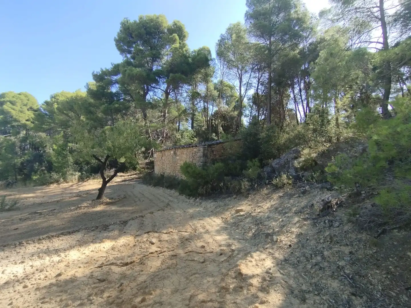 Terreni e lotti in vendita a Valderrobres