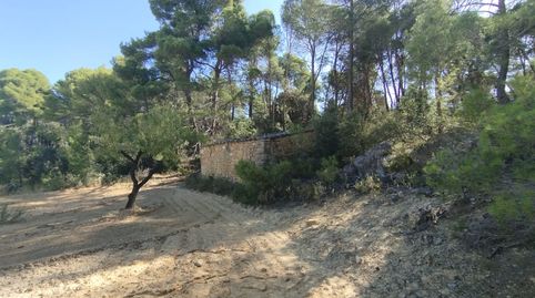 Finca rústica con maset en Valderrobres