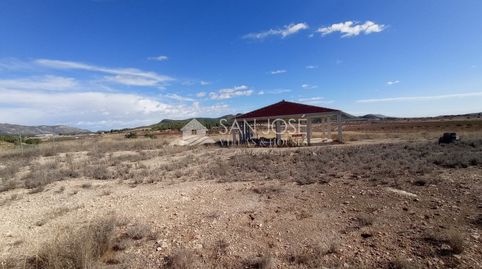 VENTA DE  PARCELA EN MONOVAR, imatge 2
