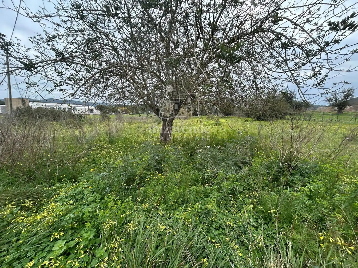 Rural land for sale in San Lorenzo km 12, imagen 2