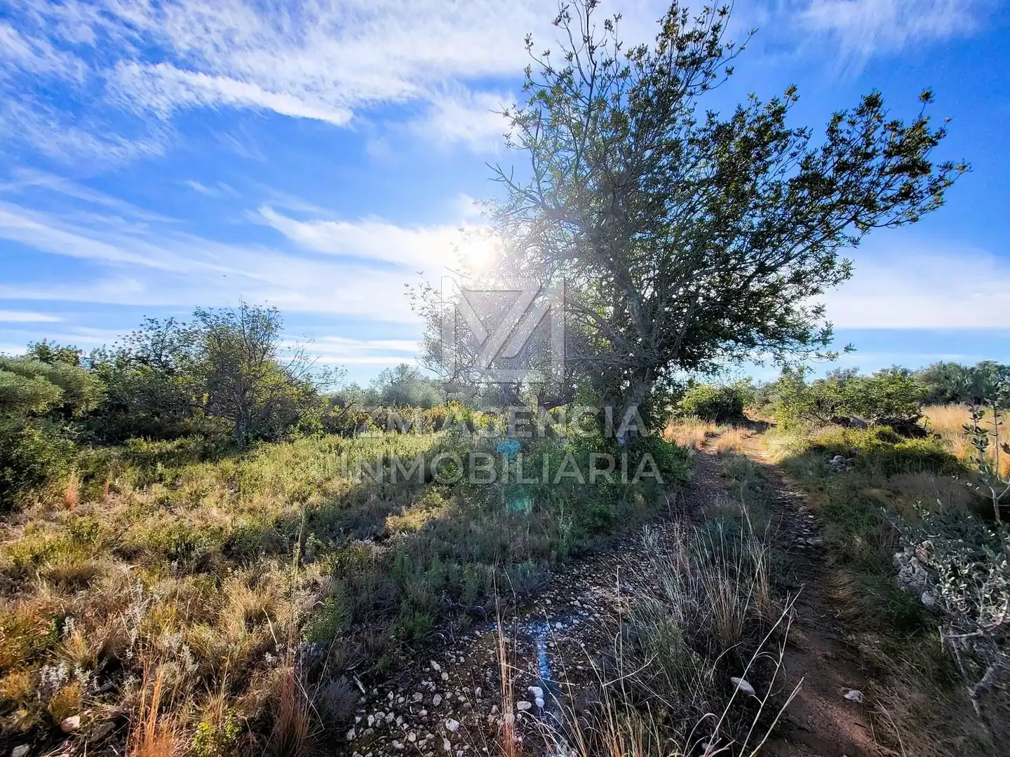 Casa rústica en venta en Traiguera, imagen 7