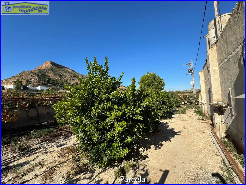 Vista exterior de Casa o chalet en venta en Santomera con Aire acondicionado, Calefacción y Terraza