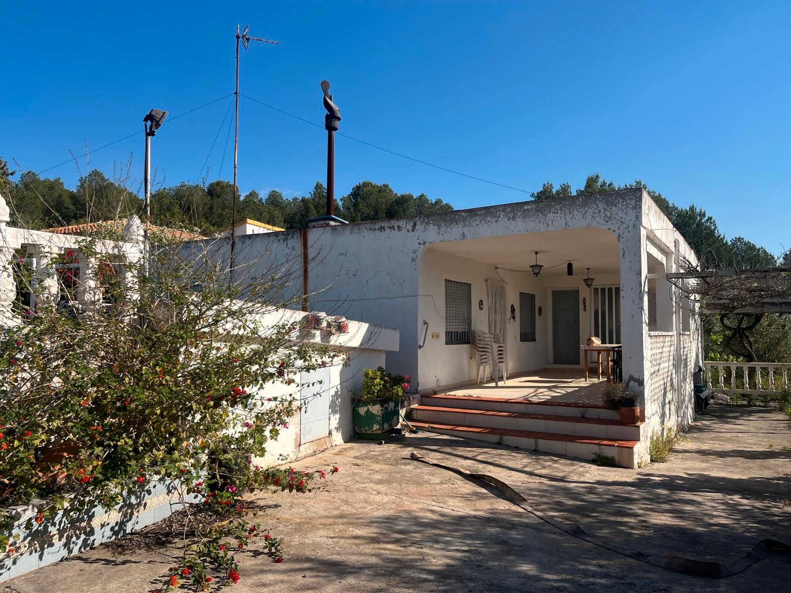 Exterior view of House or chalet for sale in L'Alcora  with Private garden, Terrace and Swimming Pool