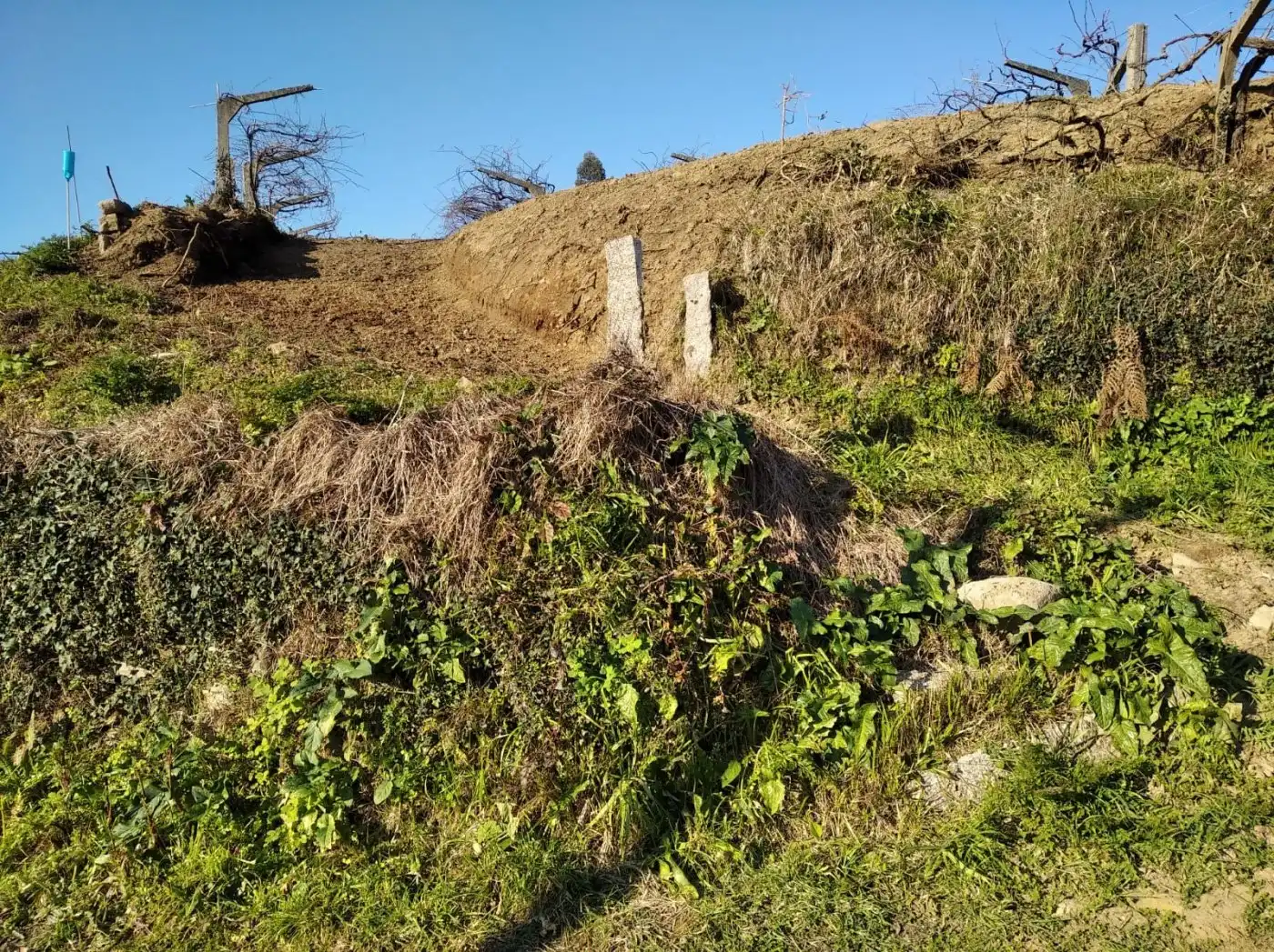 Terreny residencial en venda a Mos, imagen 8