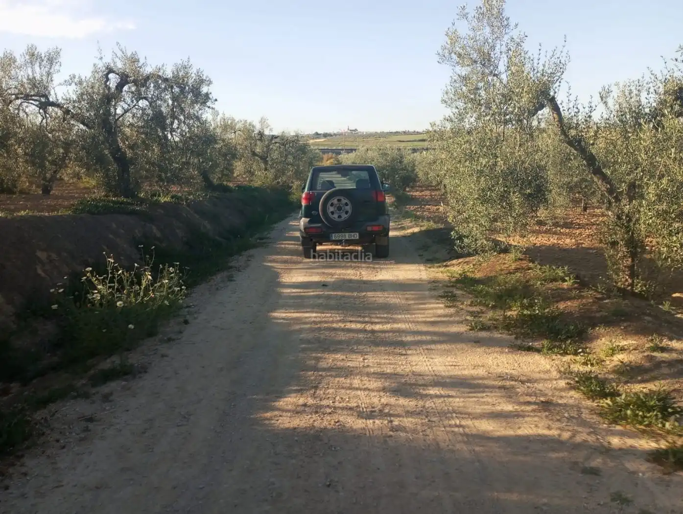 Terreny rústic en venda a Calle 4 del Sector C-5 47