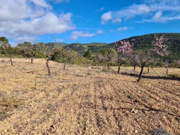 Residential for sale in La Font de la Figuera