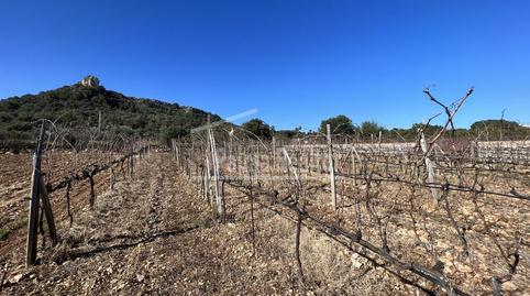 Photo 5 of Residential for sale in Son Servera Poble, Illes Balears