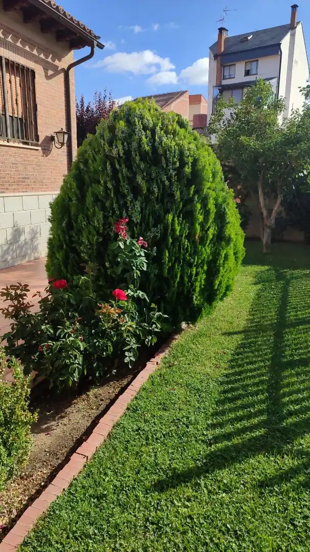 Jardín de Casa o chalet en venta en Medina del Campo con Calefacción, Jardín privado y Terraza