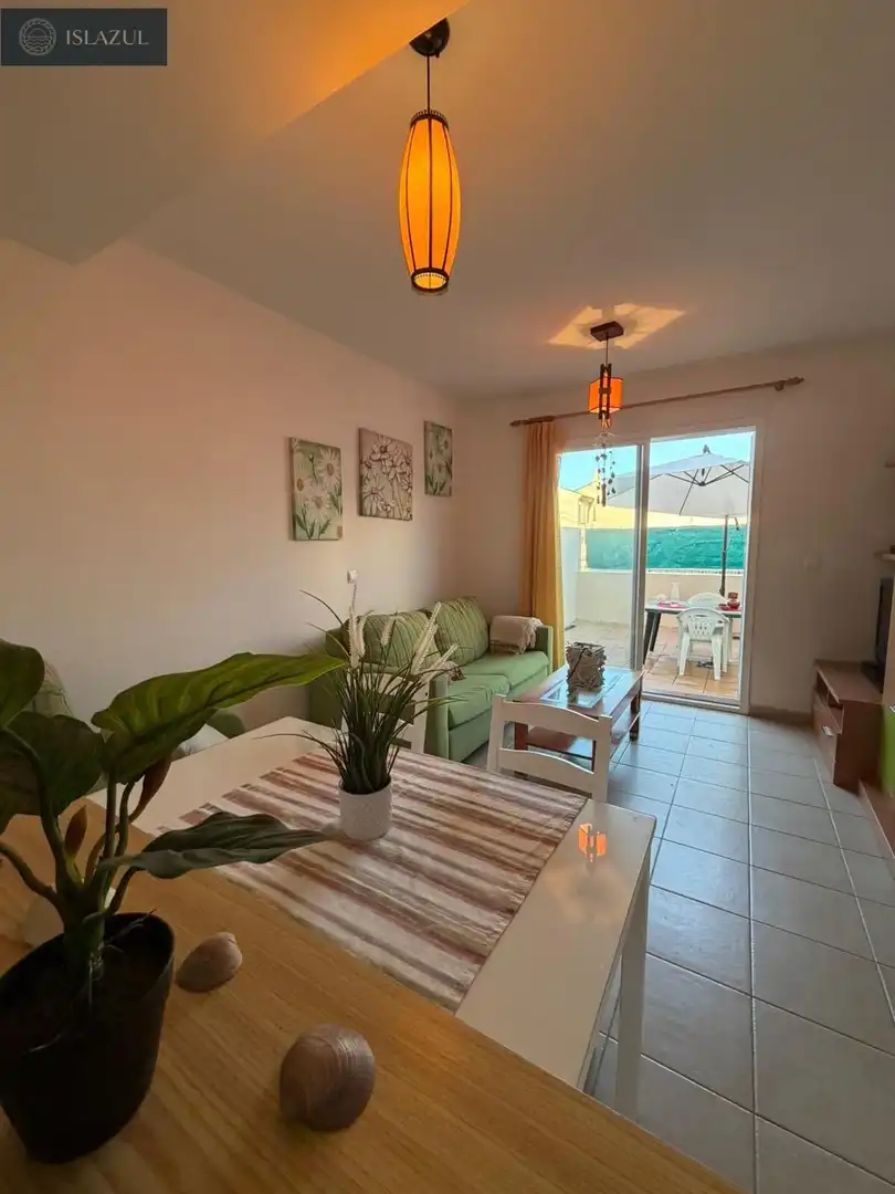 Sala d'estar de Casa adosada en venda en Isla Cristina amb Jardí privat, Terrassa i Moblat