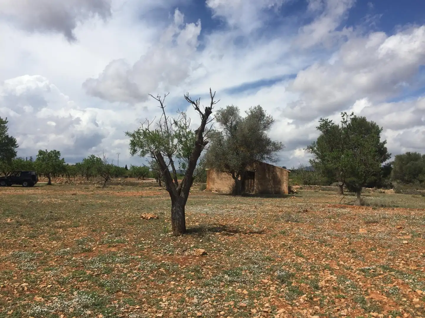 Casa rústica en venda a Vall d'Alba, imagen 3