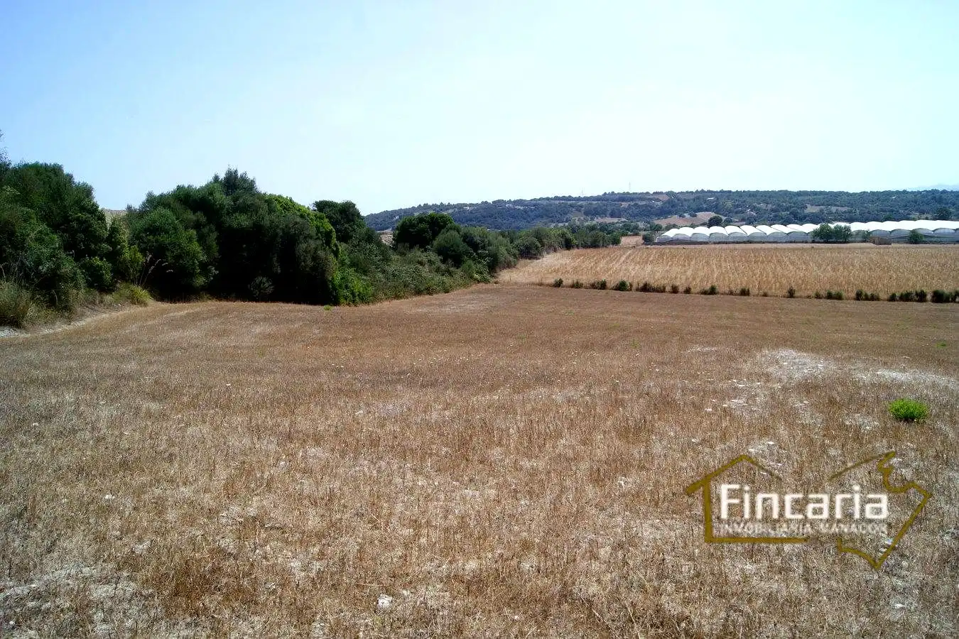 Terrenys i solars en venda a Camí de sa Murtera, imagen 21