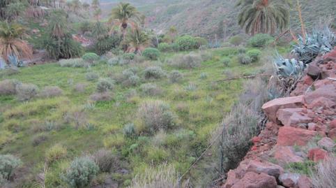 Photo 4 of Land for sale in El Cabrito, Santa Lucía de Tirajana interior, Santa Lucía de Tirajana